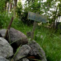Holzschild mit Beschriftung 'Eidechse' an einem Steinhaufen in einem Garten