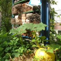 Insektenhotel mit gelbem VERN-Behälter im Schulgarten