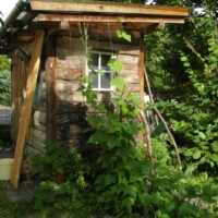 Werkzeughäuschen mit rankendem Bohnenwuchs im Schulgarten
