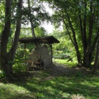 Gartengebäude unter hohen Eichen, Dachkonstruktion aus Ästen, überwachsenes Gelände