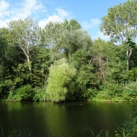 Wertvoller Auenwald bei den Höllen