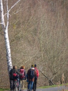Winterwanderung 2019, Finowkanal