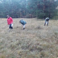 Drei Personen sammeln Samen in einer Wiese mit Wäldern im Hintergrund