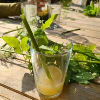 Glas mit Kräuteraufguss und frischen grünen Kräuterblättern