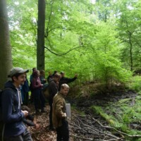 Exkursionsgruppe beobachtet Waldeigenschaften im Laubwald-Blattstreu