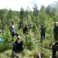 Exkursionsgruppe im Kiefernwald unter Moorvegetation