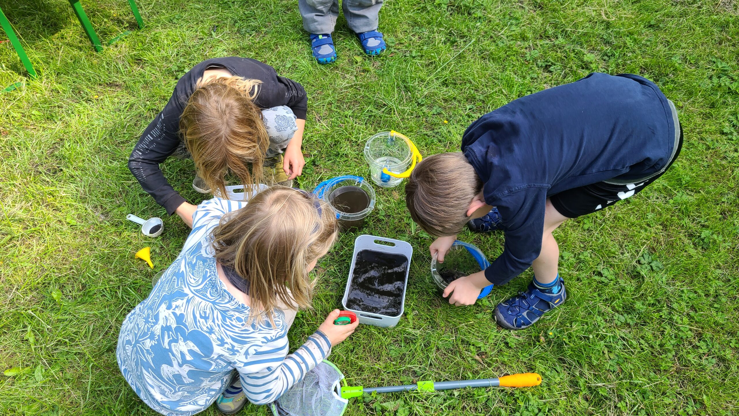 umweltbildungsgruppe