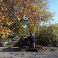 Gärtnerin bei der Arbeit