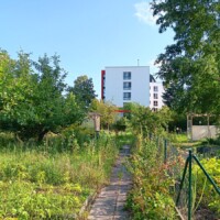 Blick über den Garten zum benachbarten Wohnblock