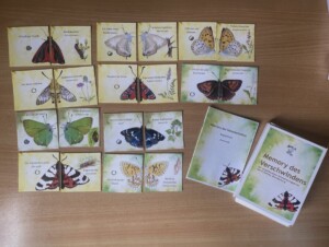 Ein Memory-Spiel mit Karten, auf denen Schmetterlinge abgebildet sind