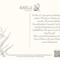 Postkarten-Rückseite