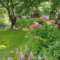 Blüten vor einer Wiese mit Schaukel