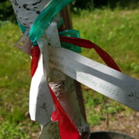Banderole am Baumstamm: ALNUS 2024