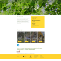 Ein Entwurf für die Website mit sehr eckigen Formen