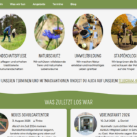 Ein Ausschnitt der Startseite mit gesxchwungenen Linien und Vorschaubildern für verschiedene Seiten
