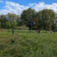 Menschen mähen eine Wiese mit Sensen