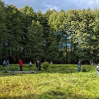Menschen mähen eine Wiese mit Sensen