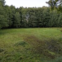 Eine gemähte Wiese