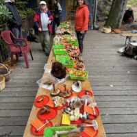 Ein Tisch mit vielen roten und grünen Schälchen, in denen sich Pilze befinden